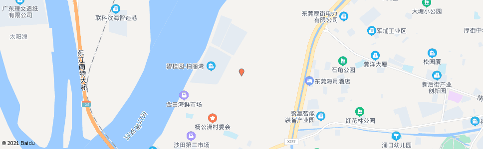 东莞杨公洲市场_公交站地图_东莞公交_妙搜公交查询2024