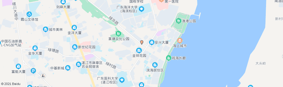 湛江绿华装饰材料市场_公交站地图_湛江公交_妙搜公交查询2024