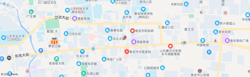 泰安东岳实验学校_公交站地图_泰安公交_妙搜公交查询2024