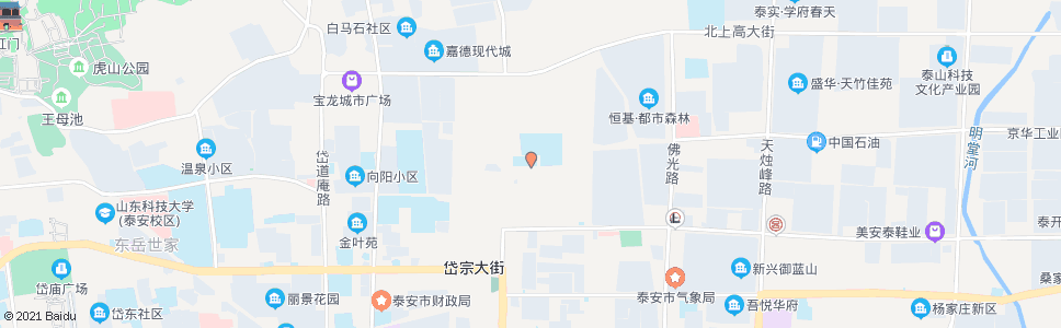 泰安凤台小学_公交站地图_泰安公交_妙搜公交查询2024