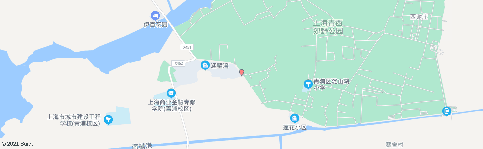 上海练西公路东天村_公交站地图_上海公交_妙搜公交查询2024